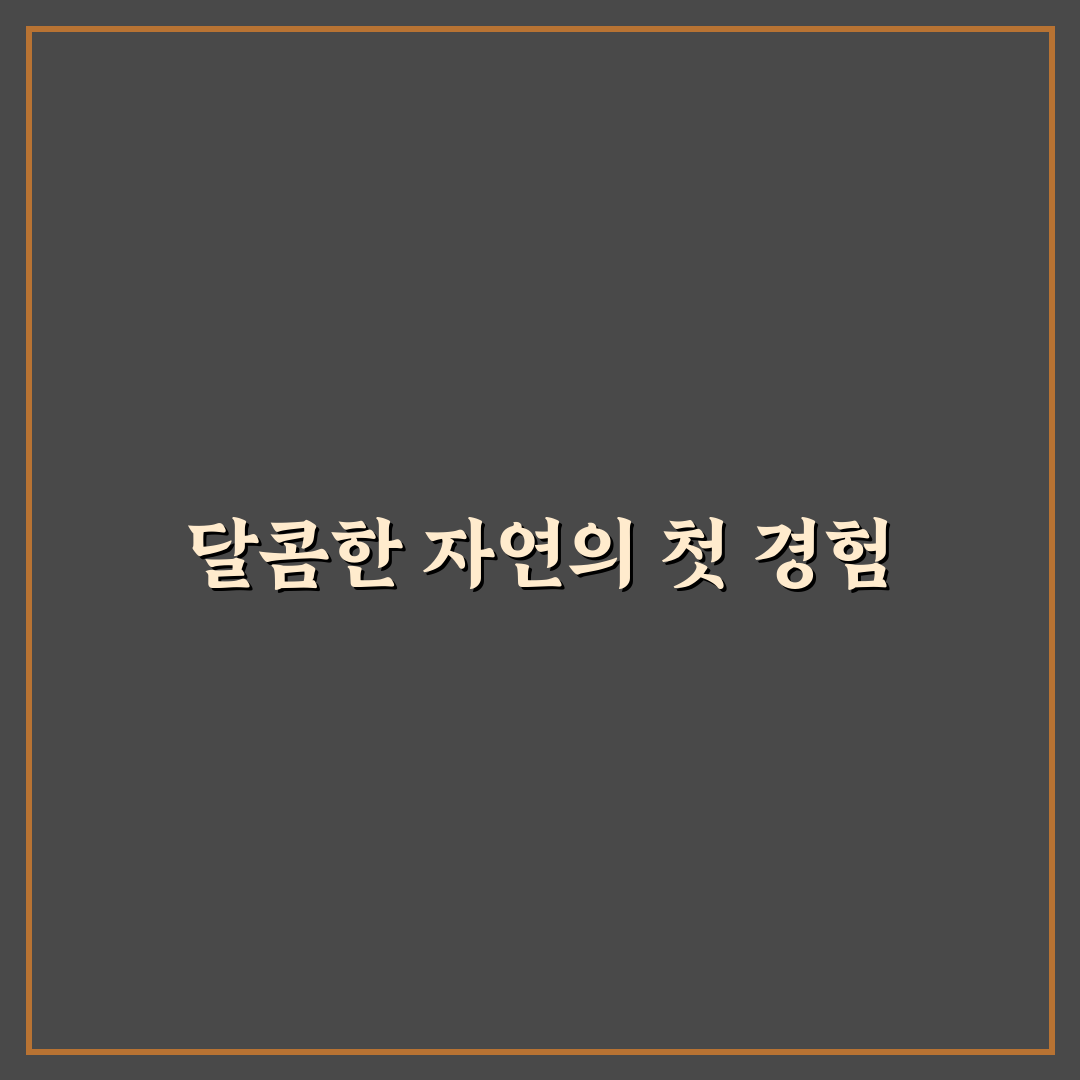 참외청 만들기 직접 해보니 손쉬운 과정과 아쉬운 점
