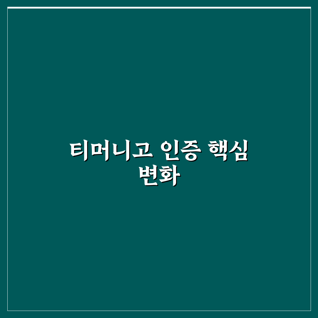 티머니고 대학생 인증 5가지 가이드와 체크포인트 분석