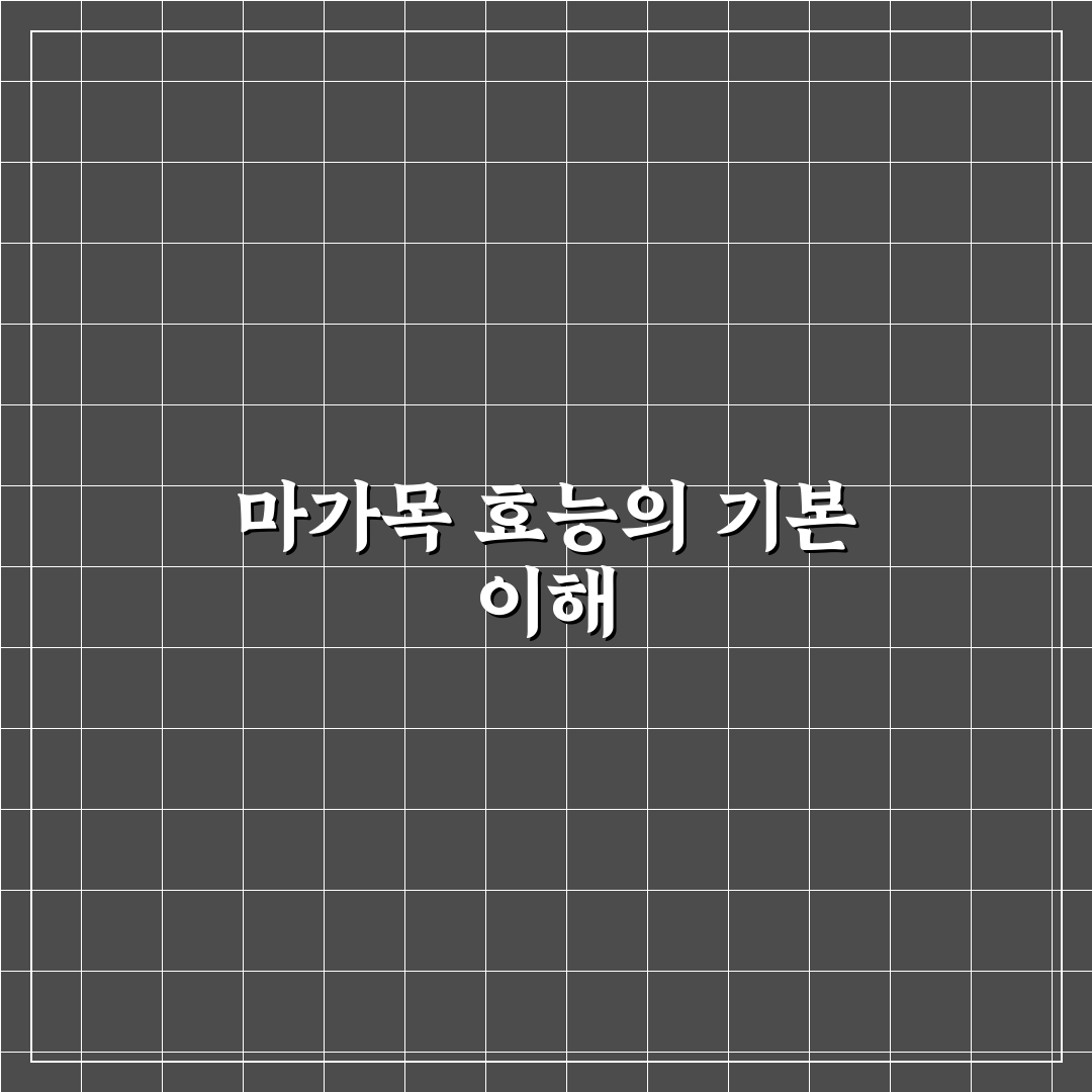 마가목 효능과 효과 5가지 기준별 분석 가이드