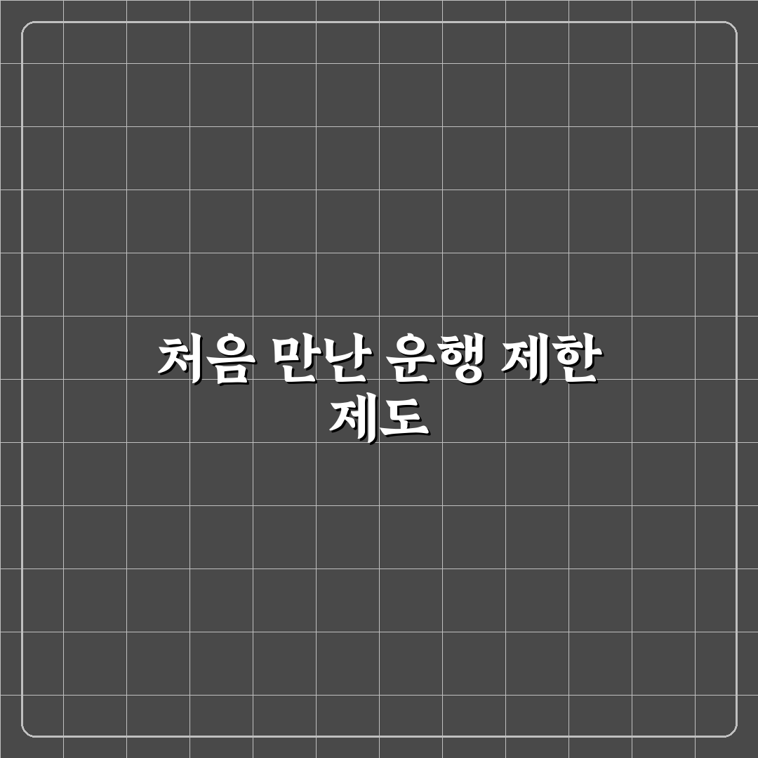 차량 2부제 나무위키 직접 알아보니 알게 된 사실들